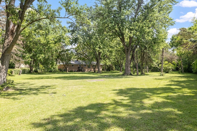 7942 Tennessee Ave, Willowbrook, IL 60527 - view of grassy yard