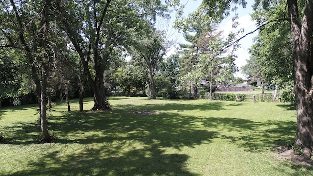 7942 Tennessee Ave, Willowbrook, IL 60527 - view of green lawn