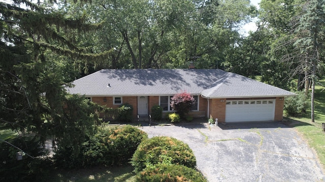7942 Tennessee Ave, Willowbrook, IL 60527 - single story home with driveway, a garage, roof with shingles, and brick siding