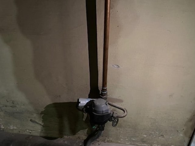 8928 S Bennett Ave, Chicago, IL 60617 - basement view