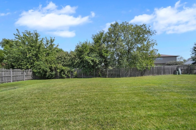 19407 Cherry St, Mokena, IL 60448 - photo 5