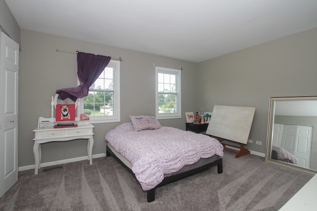 446 Northampton Ln, Roselle, IL 60172 - bedroom with carpet floors and baseboards