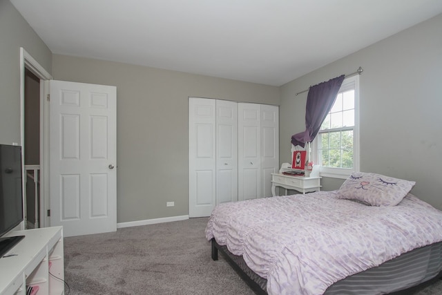 446 Northampton Ln, Roselle, IL 60172 - bedroom with carpet and a closet
