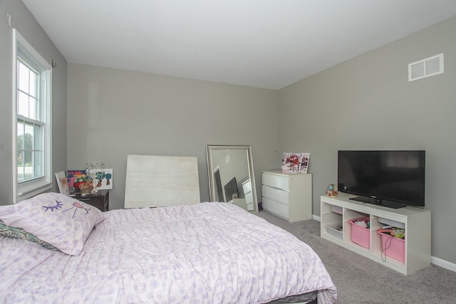 446 Northampton Ln, Roselle, IL 60172 - carpeted bedroom with multiple windows