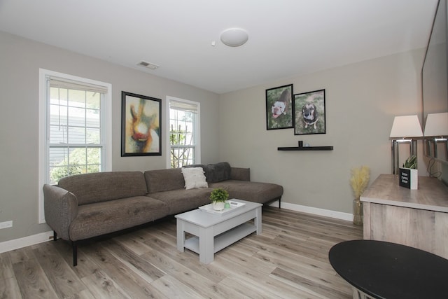 446 Northampton Ln, Roselle, IL 60172 - living area with light wood-type flooring and baseboards