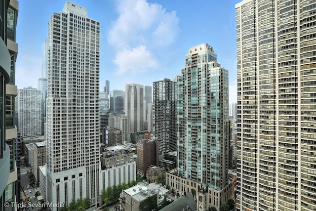100 E Huron St Unit 2301, Chicago, IL 60611 - skyline view