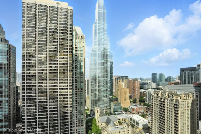 100 E Huron St Unit 2301, Chicago, IL 60611 - skyline view