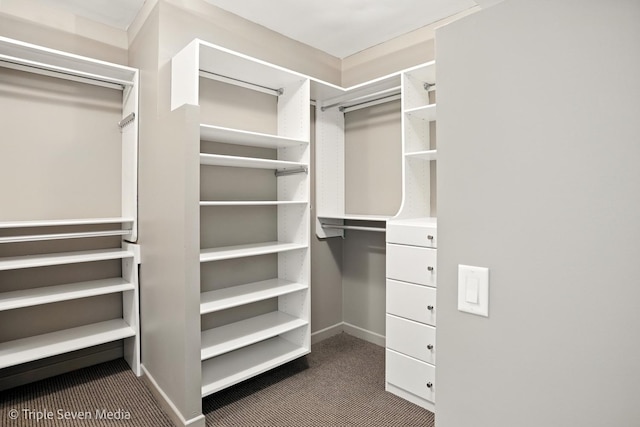 100 E Huron St Unit 2301, Chicago, IL 60611 - spacious closet with carpet flooring