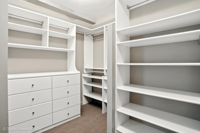 100 E Huron St Unit 2301, Chicago, IL 60611 - walk in closet with carpet
