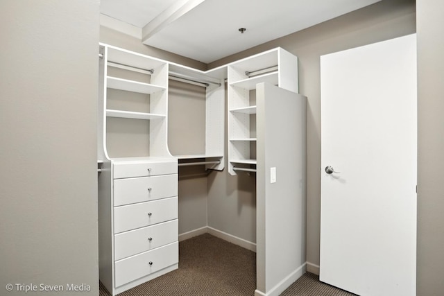 100 E Huron St Unit 2301, Chicago, IL 60611 - spacious closet with dark colored carpet