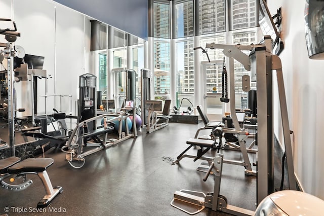 100 E Huron St Unit 2301, Chicago, IL 60611 - workout area with a towering ceiling