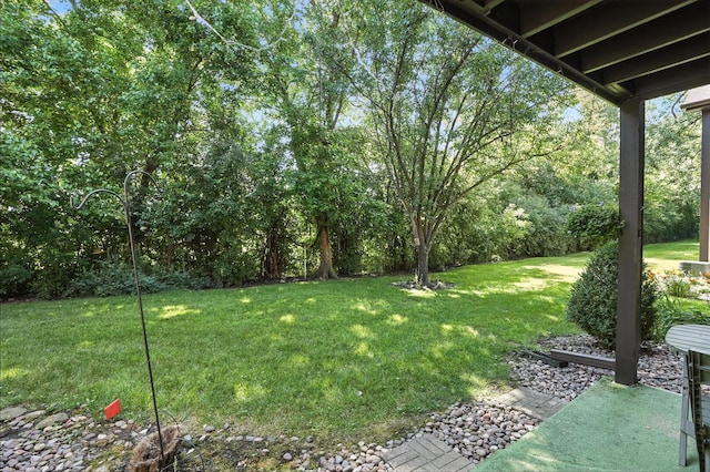 11315 Sycamore Ln Unit B, Palos Hills, IL 60465 - view of green lawn