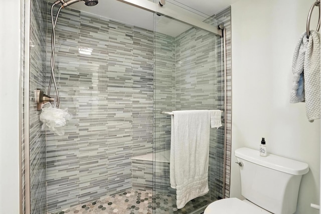 11315 Sycamore Ln Unit B, Palos Hills, IL 60465 - bathroom featuring toilet and a shower stall