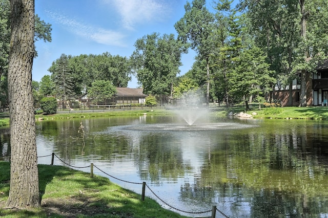11315 Sycamore Ln Unit B, Palos Hills, IL 60465 - water view