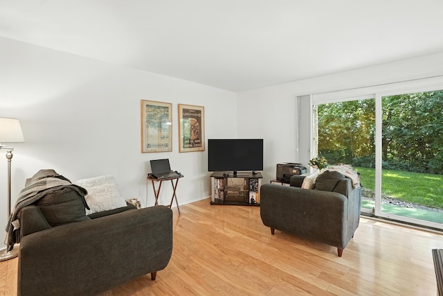 11315 Sycamore Ln Unit B, Palos Hills, IL 60465 - living room featuring light wood-style floors