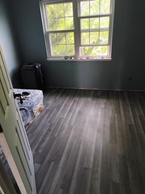 438 Meadow Hill Ln, Round Lake Beach, IL 60073 - empty room with healthy amount of natural light and dark wood-style flooring