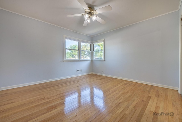 1215 Webster Ln, Des Plaines, IL 60018 - photo 18