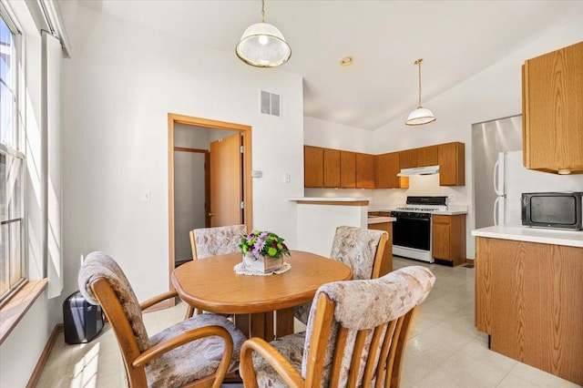 621 Littleton Trl Unit 13-4, Elgin, IL 60120 - photo 2