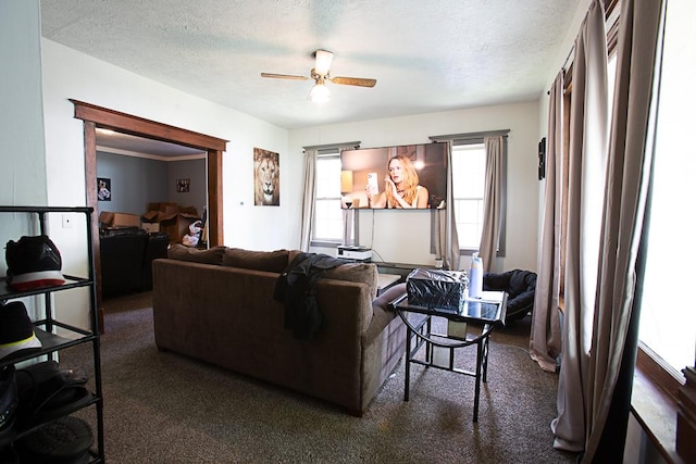 401 N 2nd Ave, Chenoa, IL 61726 - living area featuring a ceiling fan, plenty of natural light, carpet floors, and a textured ceiling