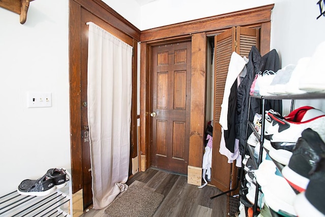 401 N 2nd Ave, Chenoa, IL 61726 - entryway with dark wood-type flooring
