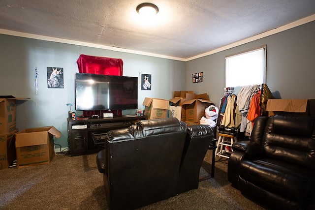 401 N 2nd Ave, Chenoa, IL 61726 - carpeted living area featuring crown molding and a textured ceiling