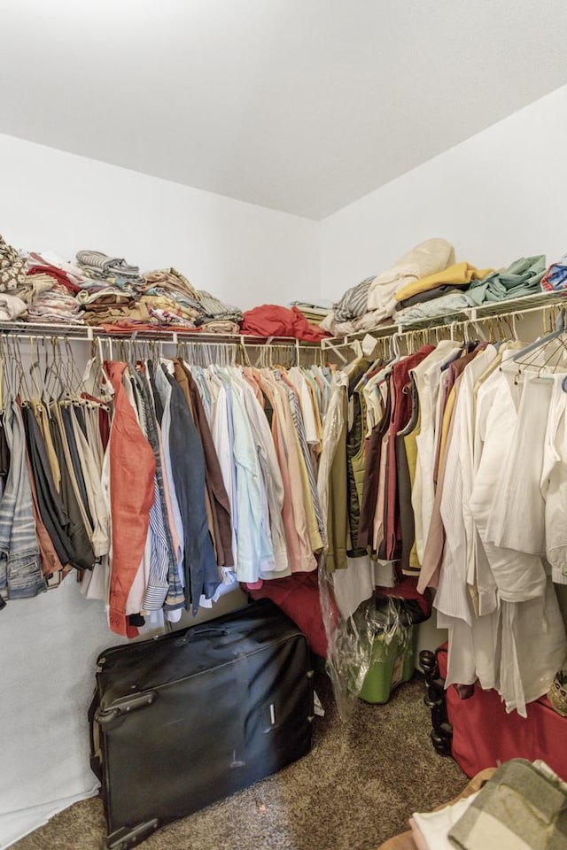 22600 W Reserve Cir, Plainfield, IL 60544 - spacious closet featuring carpet