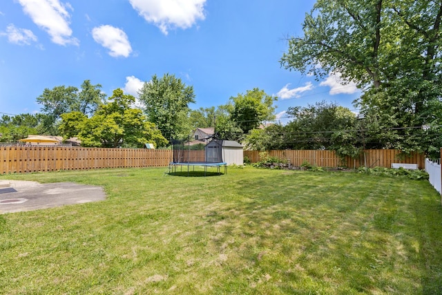 323 S Prindle Ave, Arlington Heights, IL 60004 - fenced backyard with a trampoline, a storage unit, and a patio