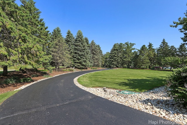 4821 Inmans Way, Ringwood, IL 60072 - photo 48