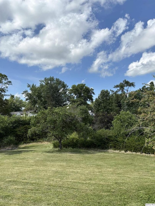 802 W Main St, La Harpe, IL 61450 - view of green lawn