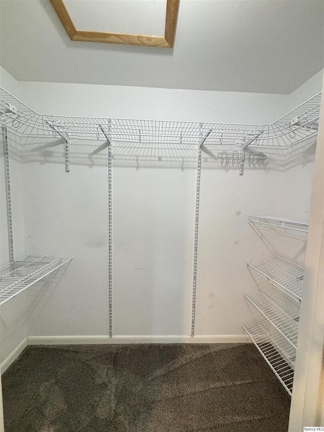 802 W Main St, La Harpe, IL 61450 - spacious closet with dark carpet