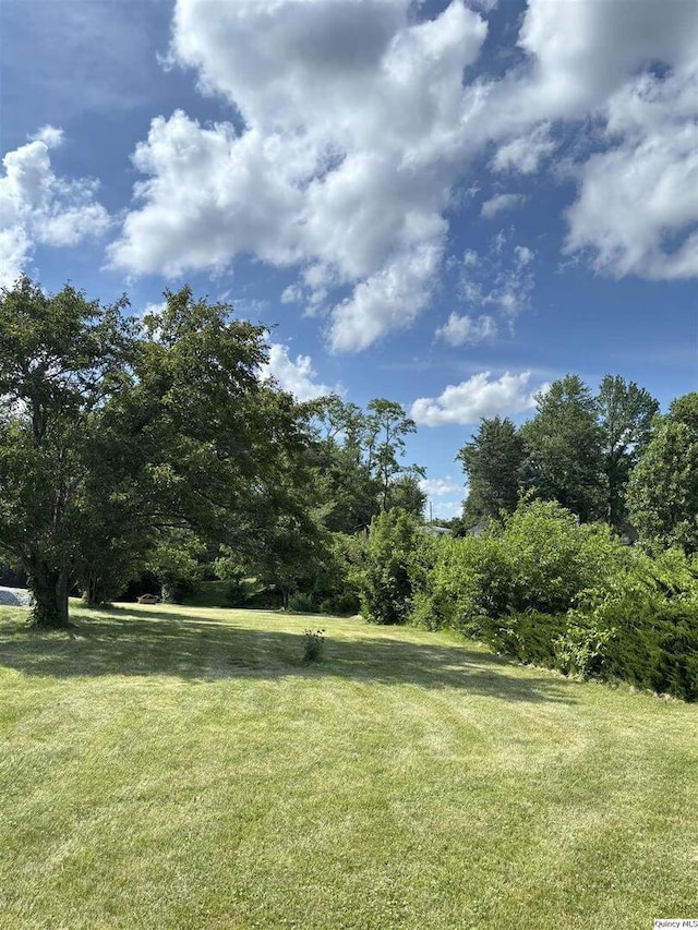 802 W Main St, La Harpe, IL 61450 - view of green lawn