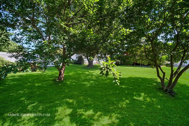 506 S 5th St, Malta, IL 60150 - view of grassy yard