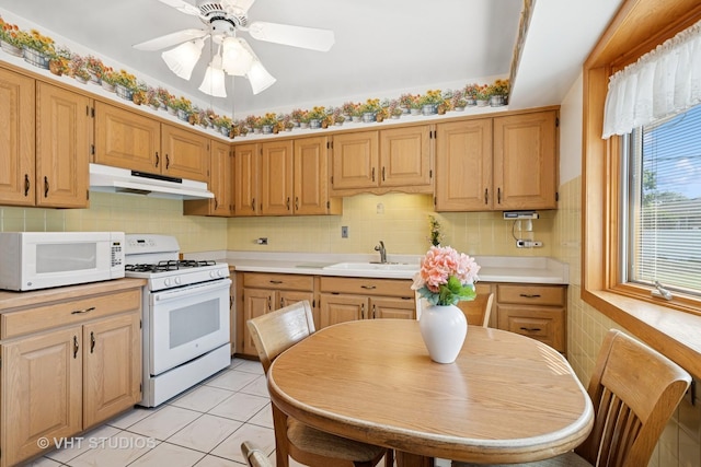 4445 N Forestview Ave, Chicago, IL 60656 - photo 5
