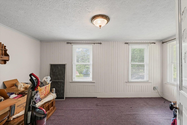 519 S 4th St, Fairbury, IL 61739 - carpeted empty room with a textured ceiling