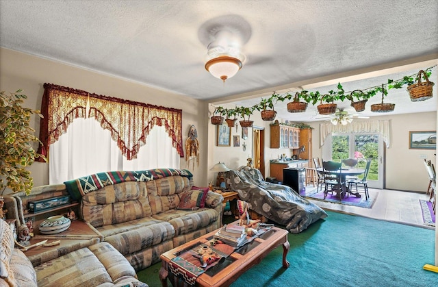 519 S 4th St, Fairbury, IL 61739 - living area featuring a ceiling fan, a textured ceiling, and carpet flooring