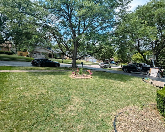 3240 Knollwood Ln, Homewood, IL 60430 - photo 3