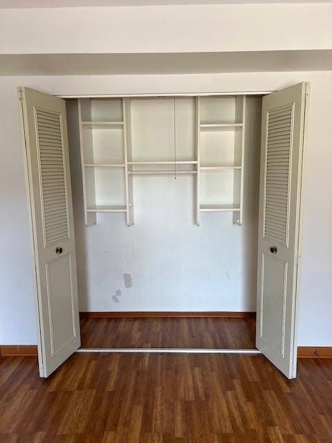 291 Gregory St Unit 6, Aurora, IL 60504 - view of closet