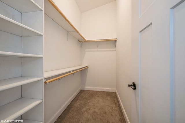 145 N Pleasant Rd, Lake Zurich, IL 60047 - photo 13