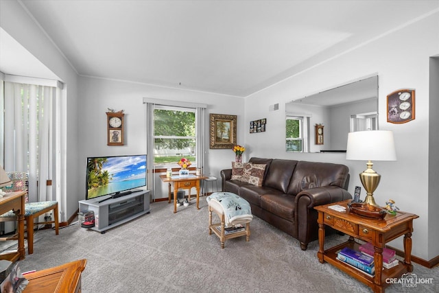 393 Lakelawn Blvd, Aurora, IL 60506 - carpeted living room featuring baseboards