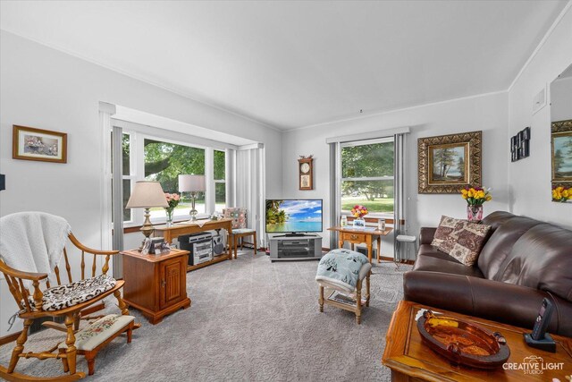 393 Lakelawn Blvd, Aurora, IL 60506 - view of carpeted living area