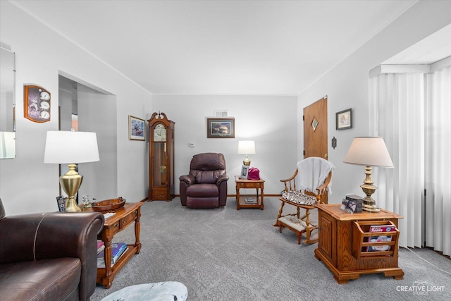 393 Lakelawn Blvd, Aurora, IL 60506 - living room featuring carpet