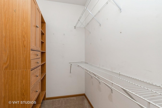 2501 Park Ridge Ct Unit 2501, Crest Hill, IL 60403 - walk in closet with light colored carpet