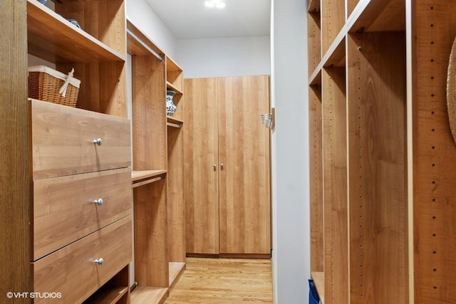 366 W Eggleston Ave, Elmhurst, IL 60126 - spacious closet with light wood-style flooring
