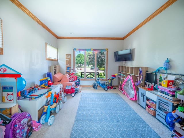 3043 Wolf Ct, Dekalb, IL 60115 - photo 12