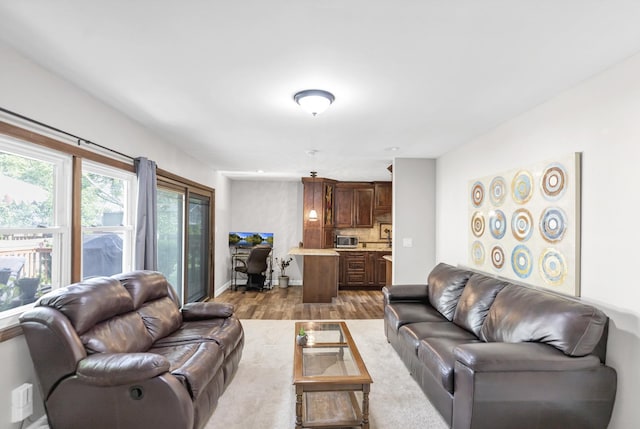 7 Walnut Dr, North Aurora, IL 60542 - living area with light wood finished floors and baseboards