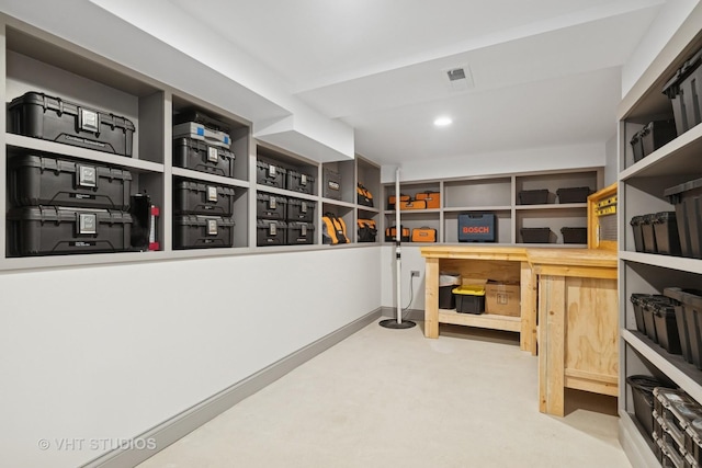 6848 N Oriole Ave, Chicago, IL 60631 - view of storage