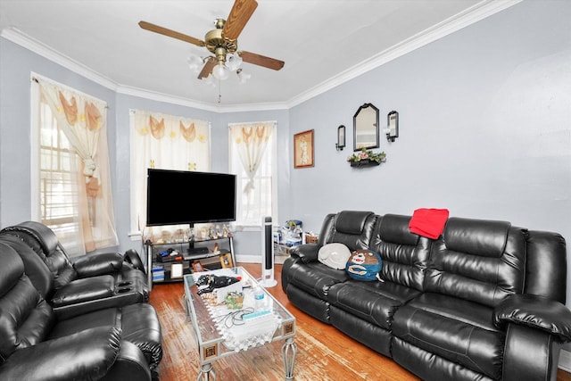 1916 N Lowell Ave, Chicago, IL 60639 - living room with wood finished floors, ceiling fan, plenty of natural light, and ornamental molding