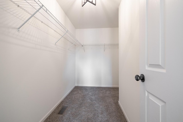 25030 Round Barn Rd, Plainfield, IL 60585 - spacious closet featuring carpet flooring