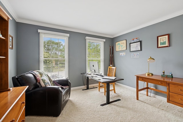 1219 N Lakeview Ct, Palatine, IL 60067 - office area featuring ornamental molding and light colored carpet