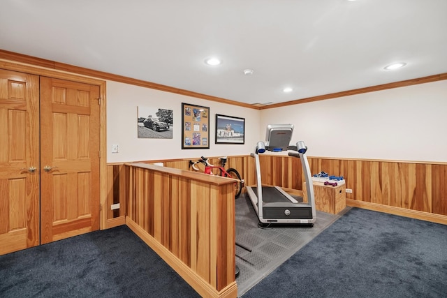 1219 N Lakeview Ct, Palatine, IL 60067 - workout room featuring carpet floors, crown molding, wainscoting, recessed lighting, and wood walls